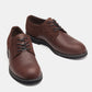 Derbies Homme Cuir Marron